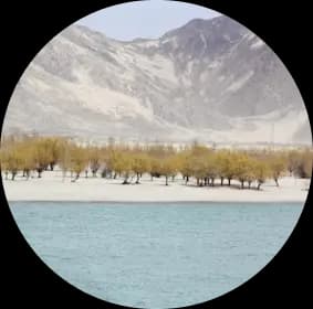 Countering desertification around Lake Aral image