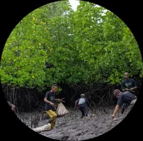 Eden Reforestation Project image