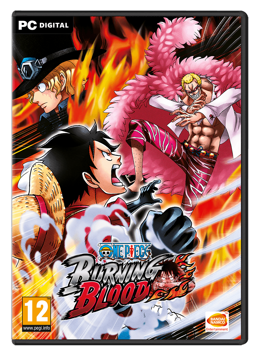 One Piece Burning Blood card image